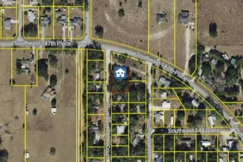 Land in Summerfield, Florida № 2201592 - photo 2