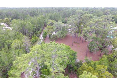 Land in Crescent City, Florida № 2165944 - photo 7