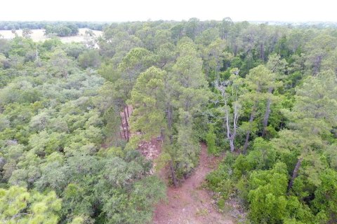 Land in Crescent City, Florida № 2165944