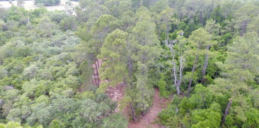 Land in Crescent City, Florida № 2165944