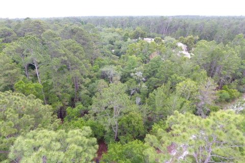 Land in Crescent City, Florida № 2165944 - photo 5
