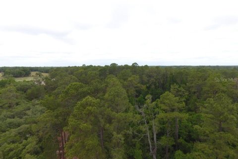 Land in Crescent City, Florida № 2165944 - photo 6