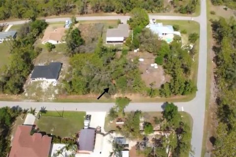 Land in Port Charlotte, Florida № 2159051 - photo 2