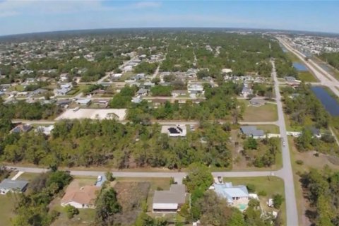 Land in Port Charlotte, Florida № 2159051 - photo 4