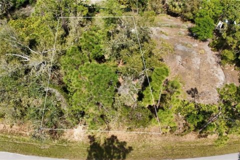 Land in Port Charlotte, Florida № 2159051 - photo 3