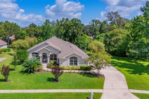 Villa ou maison à vendre à Fish Hawk, Floride: 3 chambres, 203.08 m2 № 1909225 - photo 1