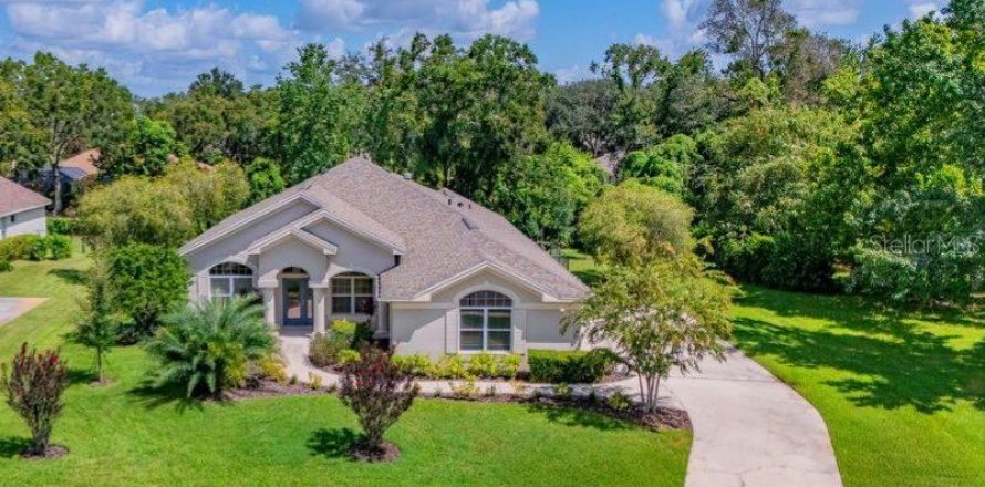 Villa ou maison à Fish Hawk, Floride 3 chambres, 203.08 m2 № 1909225