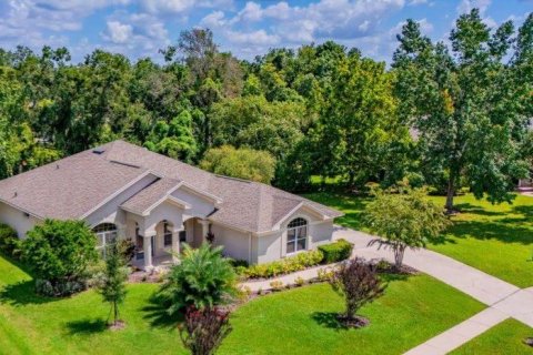 Villa ou maison à vendre à Fish Hawk, Floride: 3 chambres, 203.08 m2 № 1909225 - photo 4