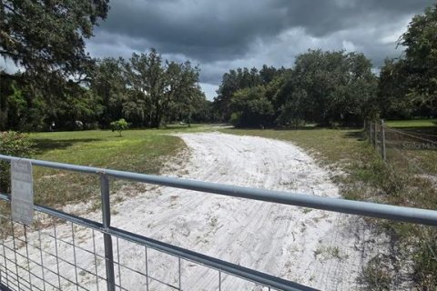 Terrain à Kenansville, Floride № 2130472