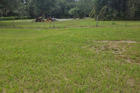 Land in Kenansville, Florida № 2130472 - photo 6