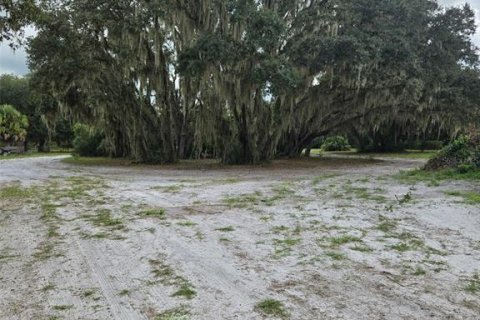 Land in Kenansville, Florida № 2130472 - photo 3