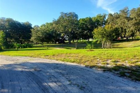 Land in Kenansville, Florida № 2130472 - photo 11