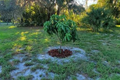 Land in Kenansville, Florida № 2130472 - photo 8