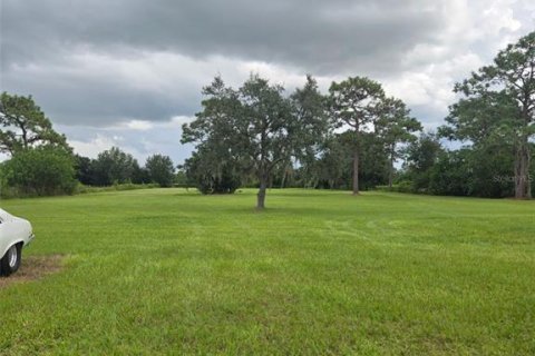 Land in Kenansville, Florida № 2130472 - photo 2