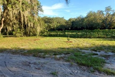 Land in Kenansville, Florida № 2130472 - photo 9