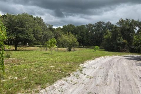 Land in Kenansville, Florida № 2130472 - photo 5