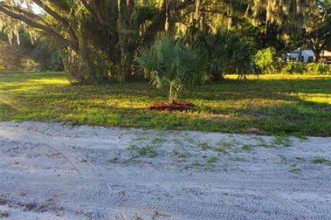 Land in Kenansville, Florida № 2130472 - photo 10