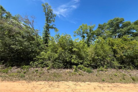 Land in Alford, Florida № 2161532 - photo 5