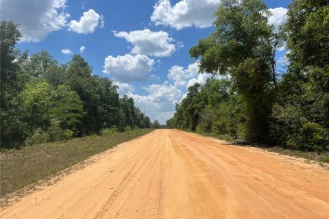 Land in Alford, Florida № 2161532 - photo 2