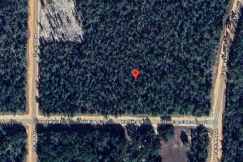 Land in Alford, Florida № 2161532 - photo 14