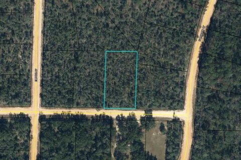 Land in Alford, Florida № 2161532 - photo 13