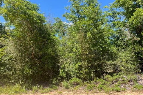 Land in Alford, Florida № 2161532