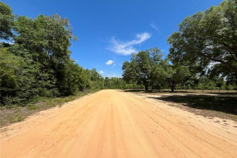Land in Alford, Florida № 2161532 - photo 6
