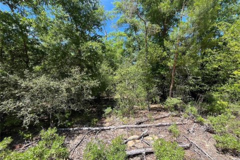 Land in Alford, Florida № 2161532 - photo 4