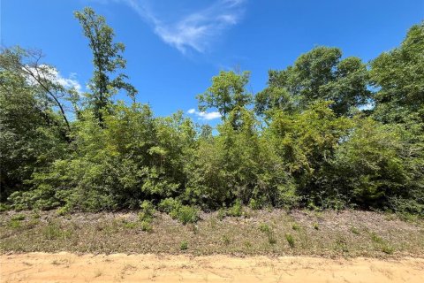 Land in Alford, Florida № 2161532 - photo 7
