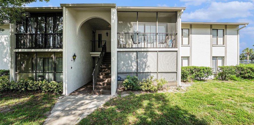 Condo in Palm Harbor, Florida, 2 bedrooms  № 1835008