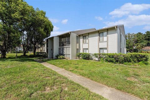 Condo in Palm Harbor, Florida, 2 bedrooms  № 1835008 - photo 2