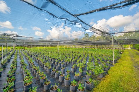 Commercial property in Homestead, Florida № 1977789 - photo 17