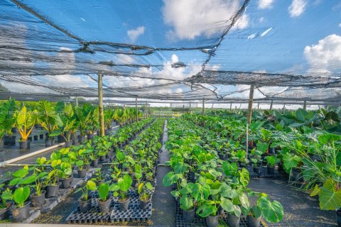 Commercial property in Homestead, Florida № 1977789 - photo 19