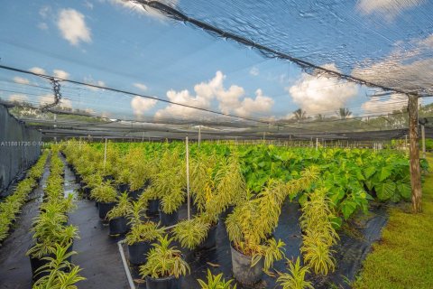 Commercial property in Homestead, Florida № 1977789 - photo 21