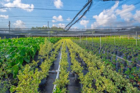 Commercial property in Homestead, Florida № 1977789 - photo 18