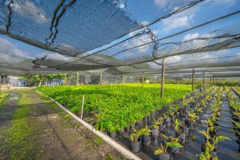 Commercial property in Homestead, Florida № 1977789 - photo 29