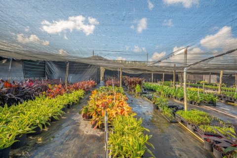 Commercial property in Homestead, Florida № 1977789 - photo 24