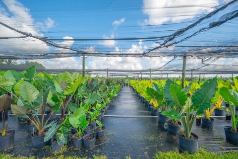 Commercial property in Homestead, Florida № 1977789 - photo 16