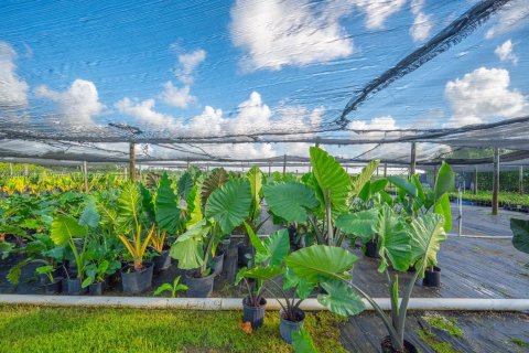 Commercial property in Homestead, Florida № 1977789 - photo 20