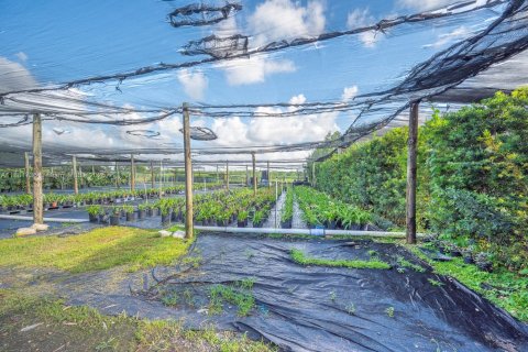 Commercial property in Homestead, Florida № 1977789 - photo 25