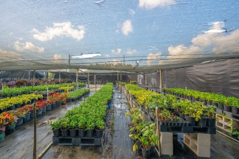 Commercial property in Homestead, Florida № 1977789 - photo 22