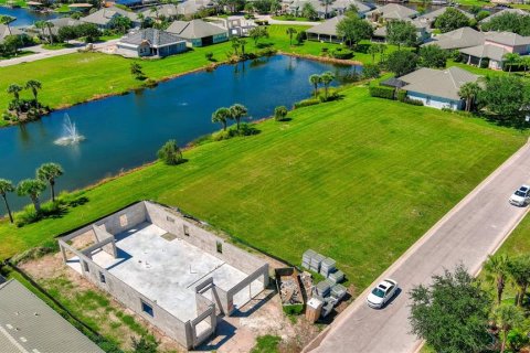 Land in Palm Coast, Florida № 1554466 - photo 13