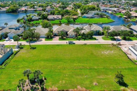 Land in Palm Coast, Florida № 1554466 - photo 9