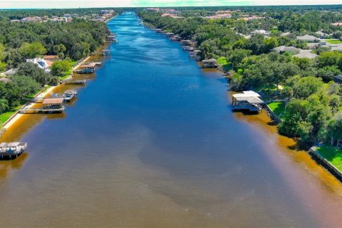 Land in Palm Coast, Florida № 1554466 - photo 21