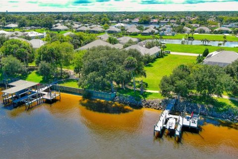 Land in Palm Coast, Florida № 1554466 - photo 18