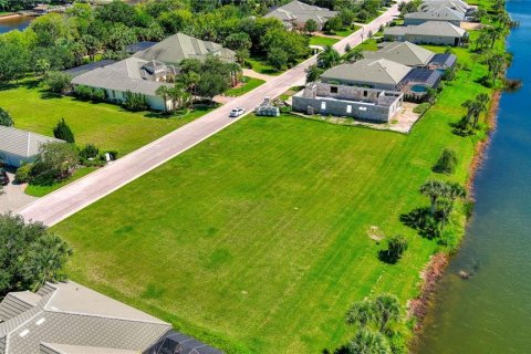 Land in Palm Coast, Florida № 1554466 - photo 11
