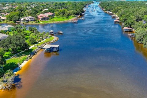 Land in Palm Coast, Florida № 1554466 - photo 20