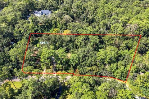 Villa ou maison à vendre à Gainesville, Floride: 5 chambres, 355.35 m2 № 2425673 - photo 3