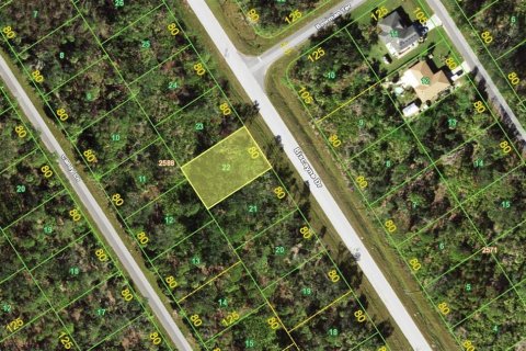 Land in Port Charlotte, Florida № 2213758 - photo 3