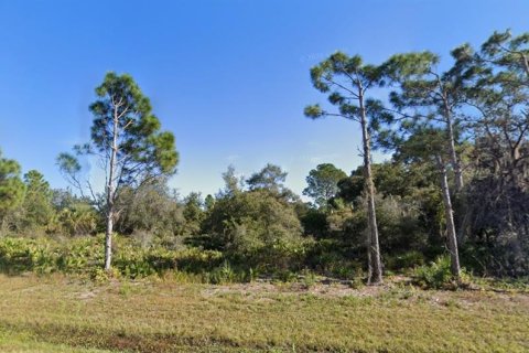 Land in Port Charlotte, Florida № 2213758 - photo 2